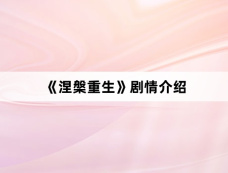 《涅槃重生》剧情介绍