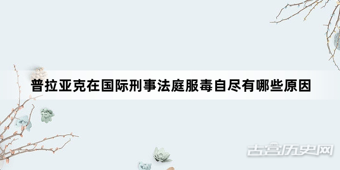 普拉亚克在国际刑事法庭服毒自尽有哪些原因