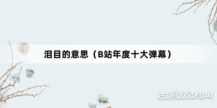 “泪目的意思（B站年度十大弹幕）”网络梗词解释