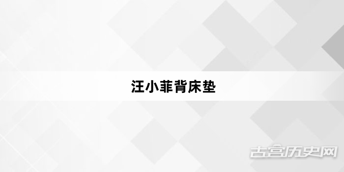“汪小菲背床垫”网络梗词解释