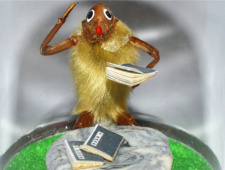 毛猴的历史起源传说