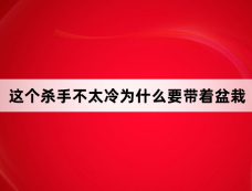 这个杀手不太冷为什么要带着盆栽