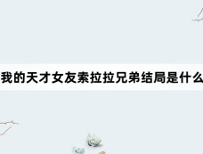 我的天才女友索拉拉兄弟结局是什么