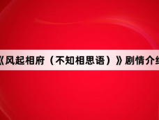 《风起相府(不知相思语)》剧情介绍