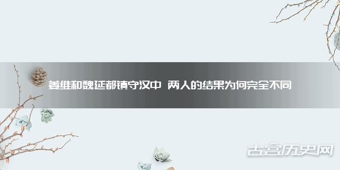 姜维和魏延都镇守汉中 两人的结果为何完全不同