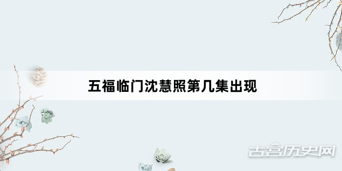 五福临门沈慧照第几集出现
