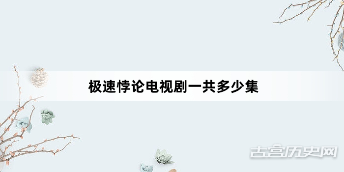 极速悖论电视剧一共多少集