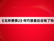 《无所畏惧2》何巧慧最后还钱了吗
