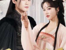 《恶女风华录》剧情介绍