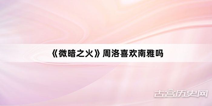 《微暗之火》周洛喜欢南雅吗