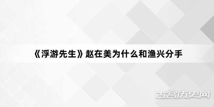 《浮游先生》赵在美为什么和渔兴分手