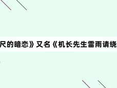 《三万英尺的暗恋》又名《机长先生雷雨请绕飞》剧情介绍