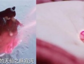 《与君初相识》血珍珠有什么作用