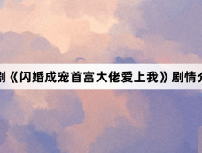 短剧《闪婚成宠首富大佬爱上我》剧情介绍