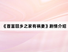 《首富回乡之家有祸妻》剧情介绍