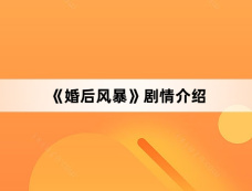 《婚后风暴》剧情介绍