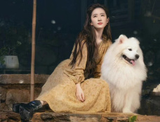 《玫瑰的故事》第21集分集剧情介绍