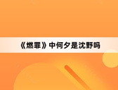 《燃罪》中何夕是沈野吗