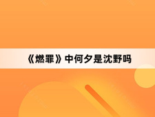 《燃罪》中何夕是沈野吗