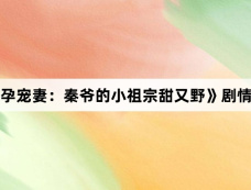 《幸孕宠妻:秦爷的小祖宗甜又野》剧情介绍