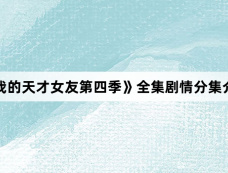 《我的天才女友第四季》全集剧情分集介绍