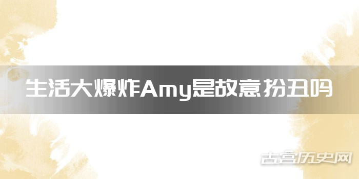 生活大爆炸Amy是故意扮丑吗
