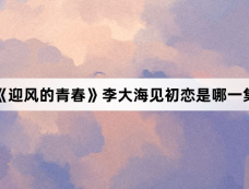 《迎风的青春》李大海见初恋是哪一集