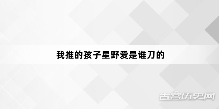 我推的孩子星野爱是谁刀的