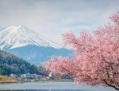 日本的首都城市介绍