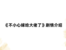 《不小心嫁给大佬了》剧情介绍