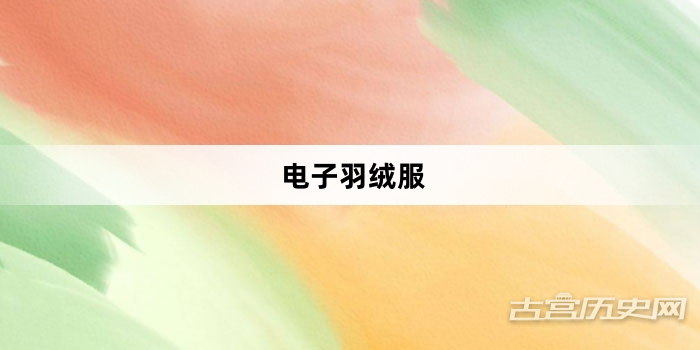 “电子羽绒服”网络梗词解释