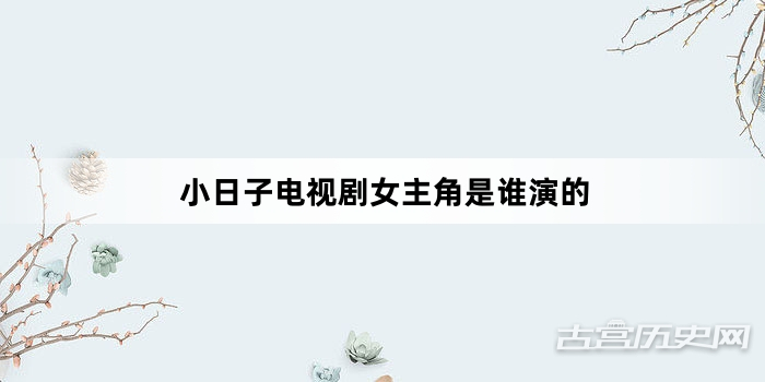 小日子电视剧女主角是谁演的