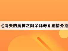 《消失的厨神之阿呆拜寿》剧情介绍