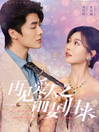 《再见爱人之前妻归来》剧情介绍