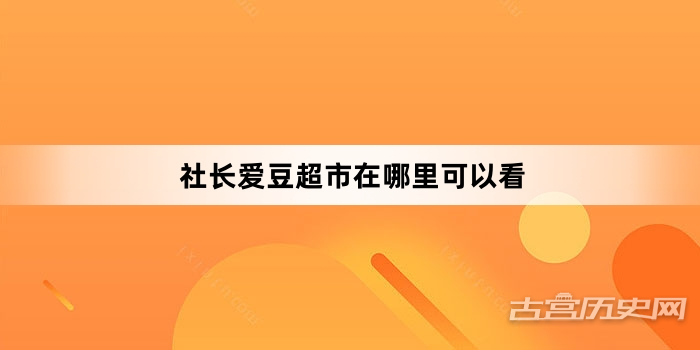 社长爱豆超市在哪里可以看