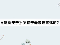 《锦绣安宁》罗宜宁母亲谁害死的？