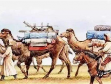 金国和辽国的灭亡是因为北宋发动货币战争吗