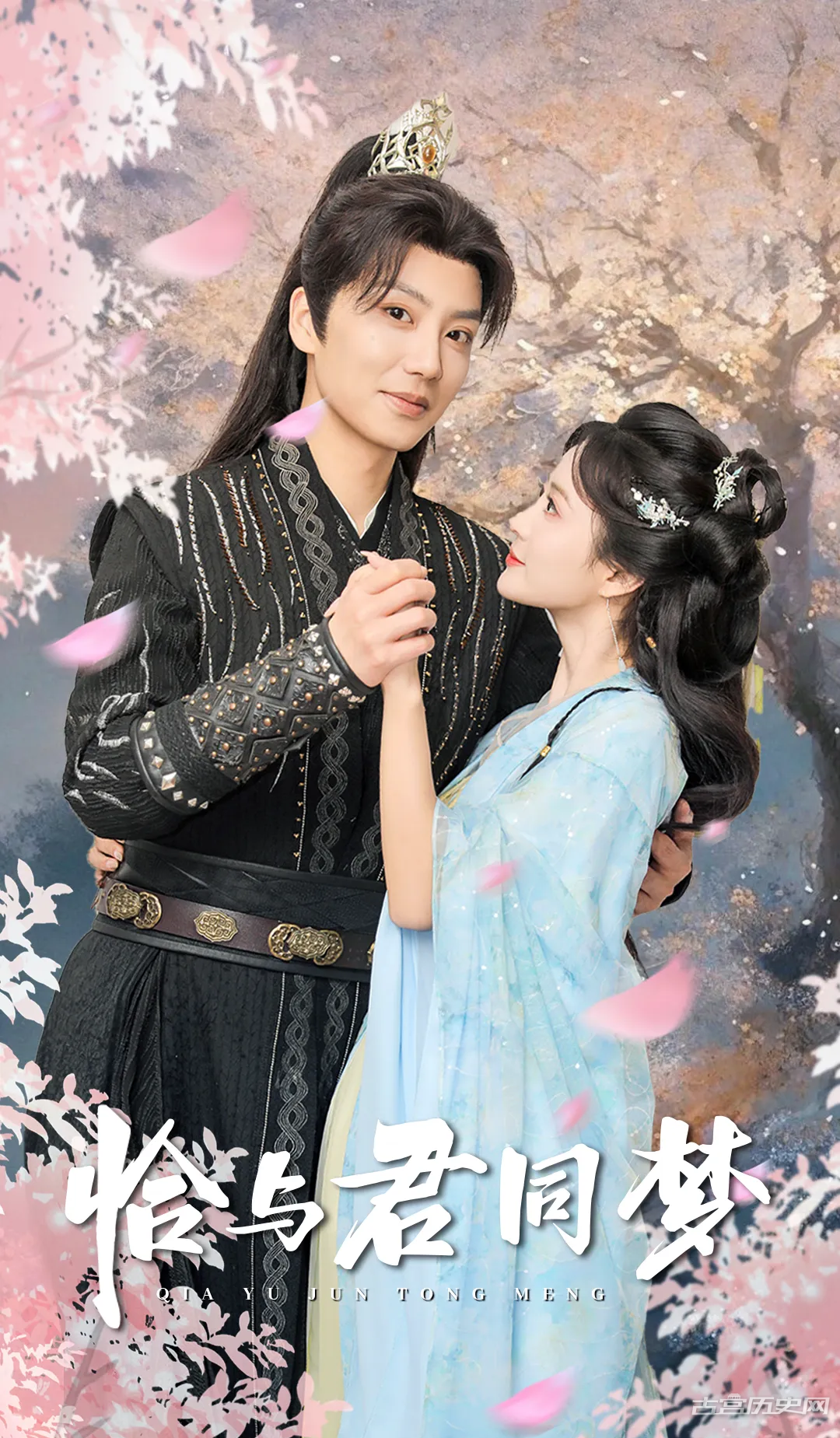 《恰与君同梦》剧情介绍