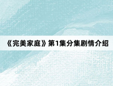 《完美家庭》第1集分集剧情介绍