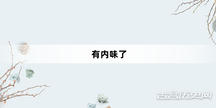 “有内味了”网络梗词解释