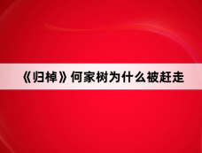 《归棹》何家树为什么被赶走