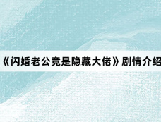 《闪婚老公竟是隐藏大佬》剧情介绍
