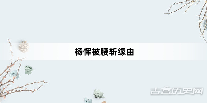 杨恽被腰斩缘由