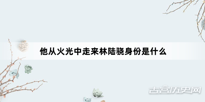 他从火光中走来林陆骁身份是什么
