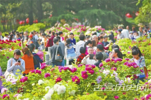 洛阳牡丹花会