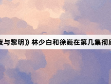 《暗夜与黎明》林少白和徐巍在第几集彻底反目