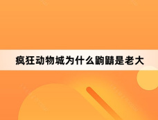 疯狂动物城为什么鼩鼱是老大