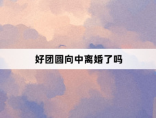 好团圆向中离婚了吗