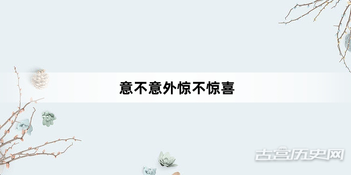 “意不意外惊不惊喜”网络梗词解释