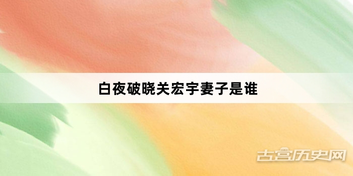 白夜破晓关宏宇妻子是谁